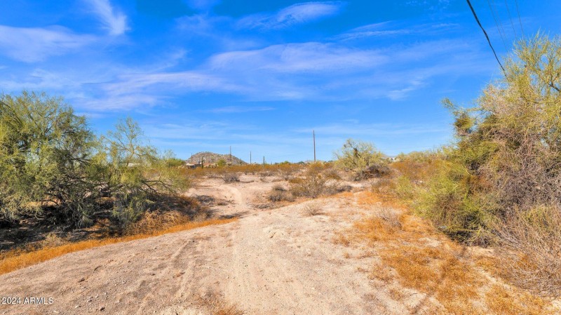 11-web-or-mls-P1201778