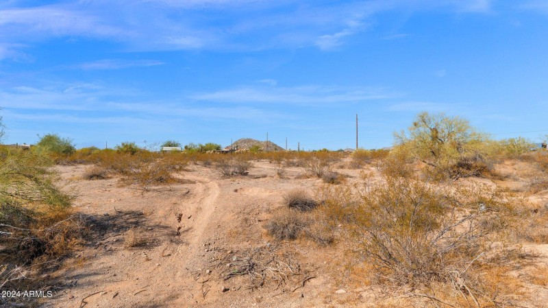 12-web-or-mls-P1201779