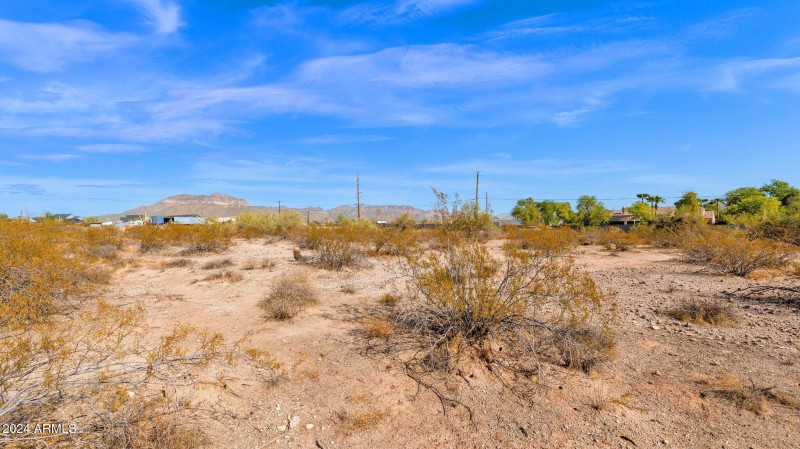 13-web-or-mls-P1201780