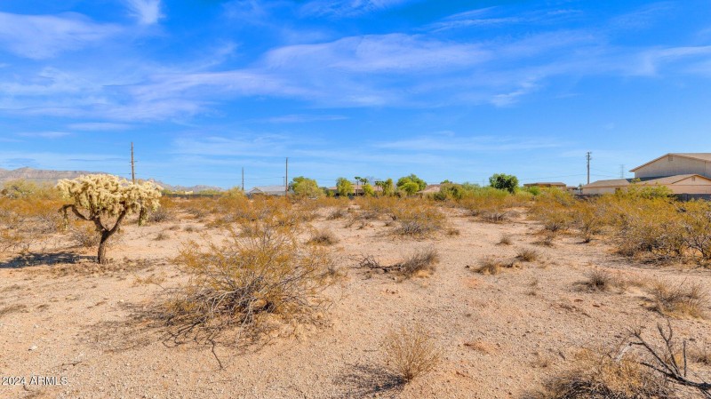 14-web-or-mls-P1201781