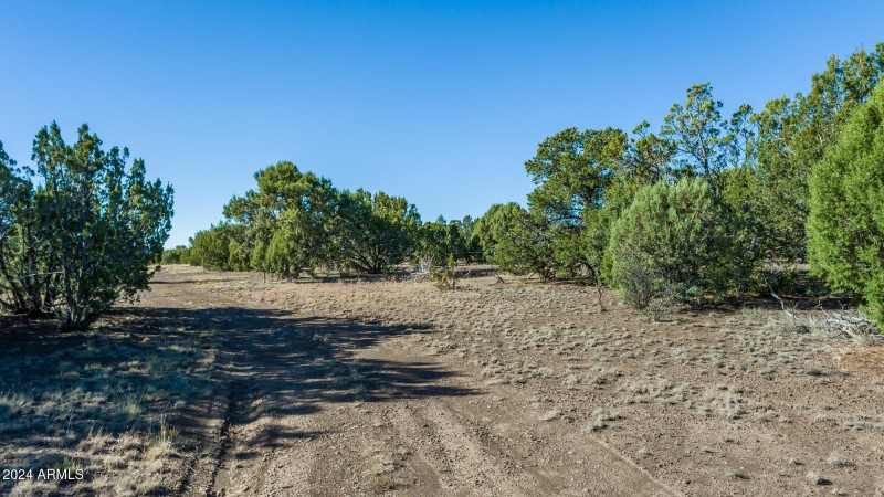 Access through Forest Service