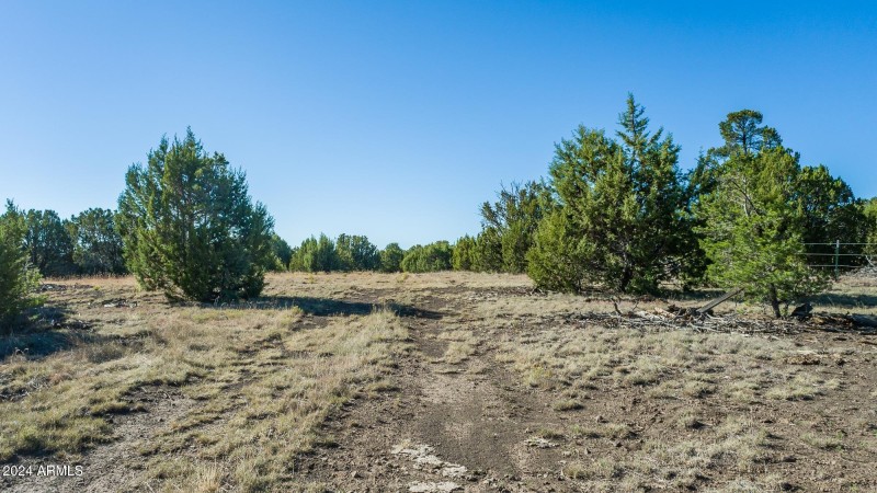 Land Views