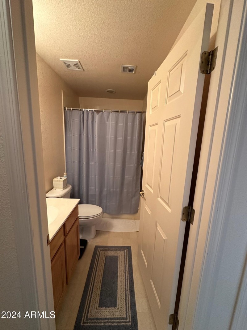 LOWER LEVEL GUEST BATH