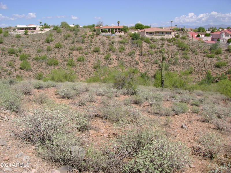 Landscape view