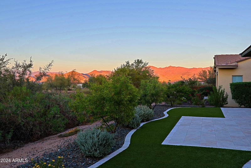 Backyard 3