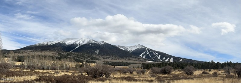 IMG_5803