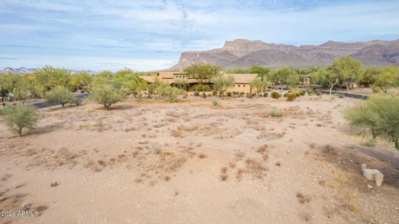 12 - Gambel Quail