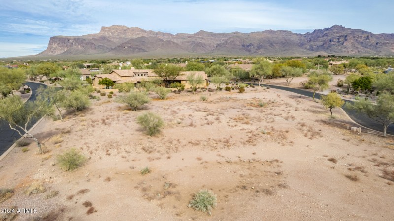 14 - Gambel Quail