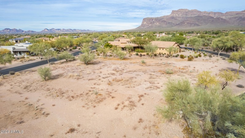 15 - Gambel Quail