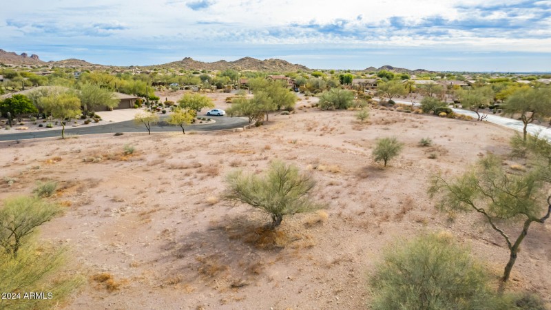 16 - Gambel Quail
