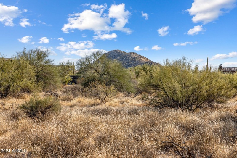 3-web-or-mls-D46A4933