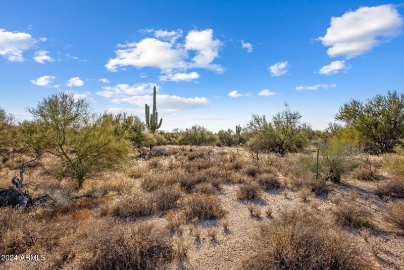 6-web-or-mls-D46A4954