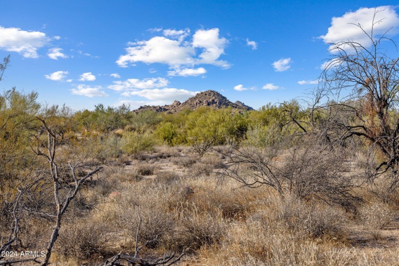 8-web-or-mls-D46A4968