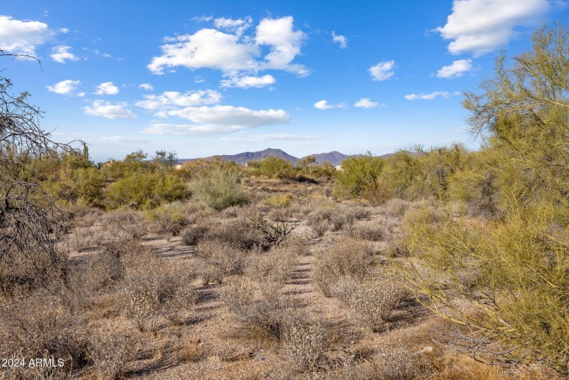 9-web-or-mls-D46A4975