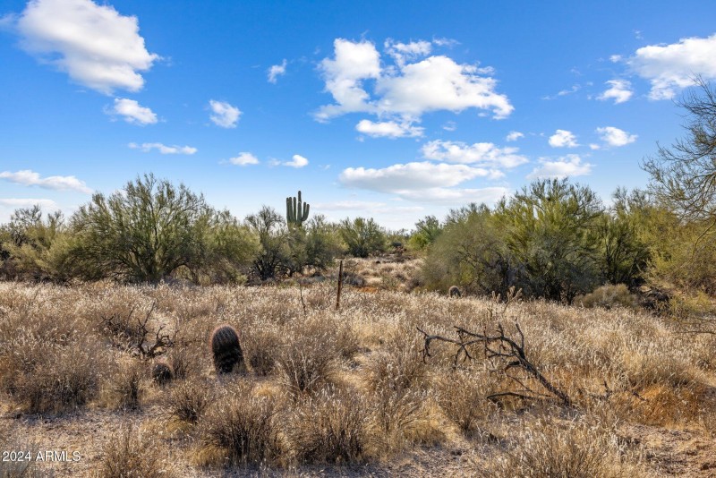 10-web-or-mls-D46A4982