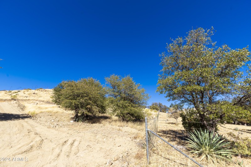 Eastern fence line