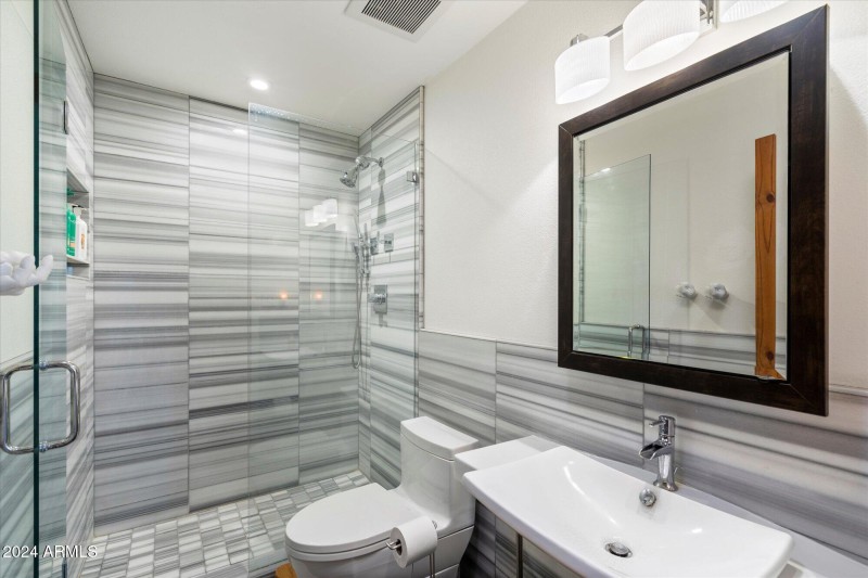 Primary Shower