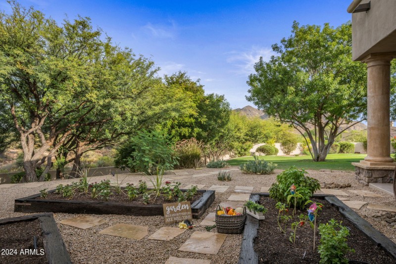 Raised Garden Beds