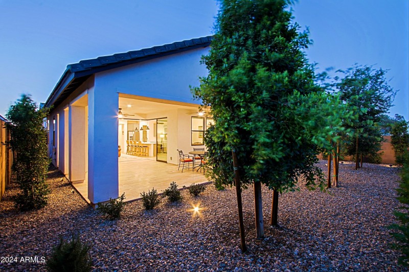 Backyard 7 (2)