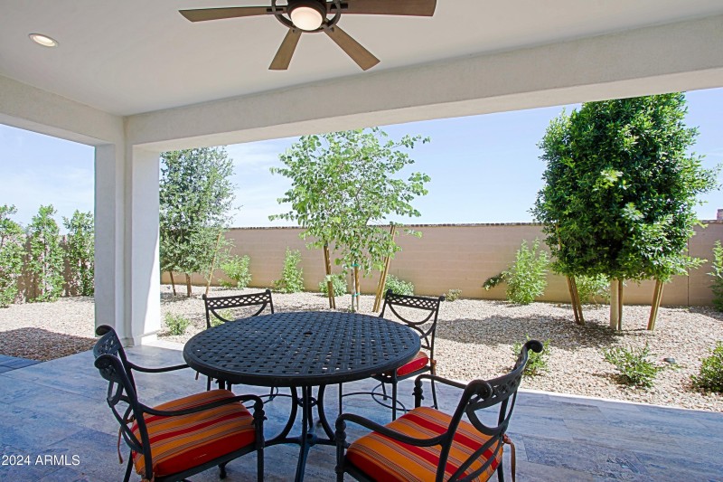 Backyard 7 (3)