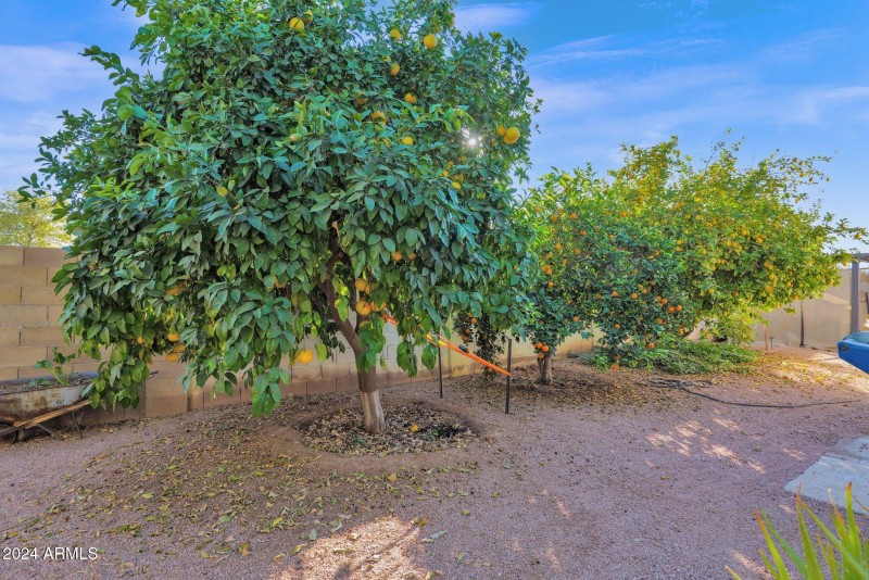 21-web-or-mls-P1051364