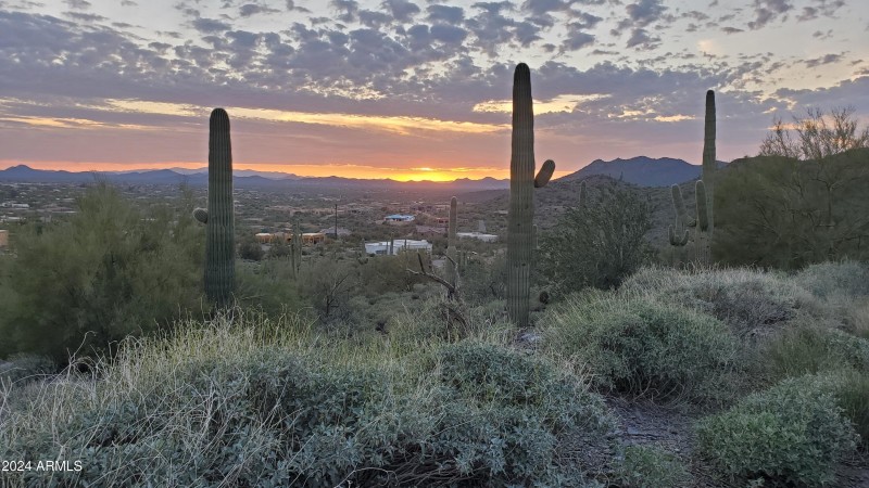 Sunset View