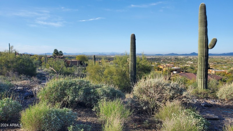 View Lot