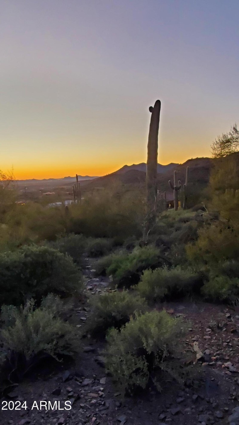 Sunset View