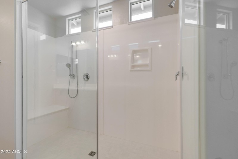 Primary Shower