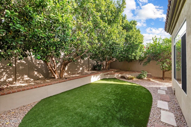 Backyard2