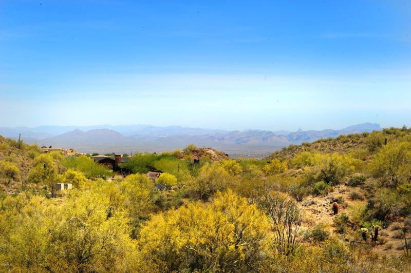 14317 E MOURNING DOVE DR 86