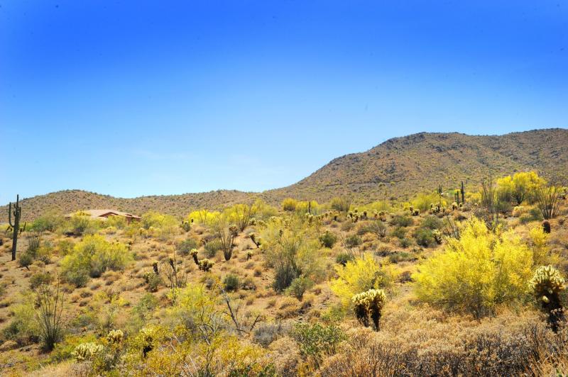 14317 E MOURNING DOVE DR 86