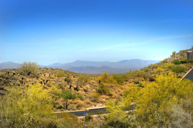 14317 E MOURNING DOVE DR 86