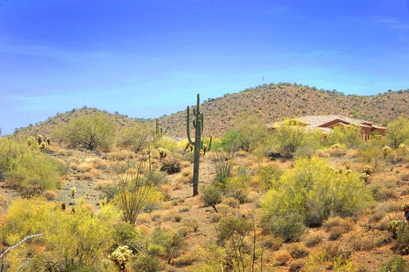 14317 E MOURNING DOVE DR 86