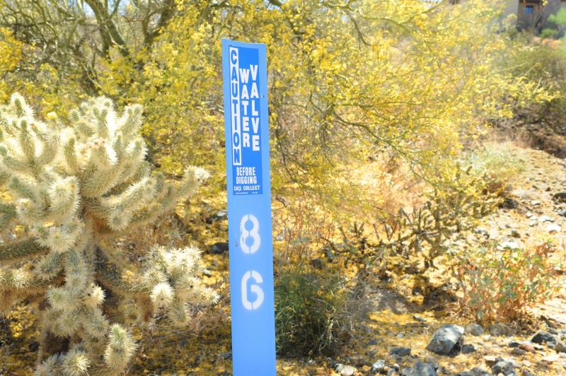 14317 E MOURNING DOVE DR 86