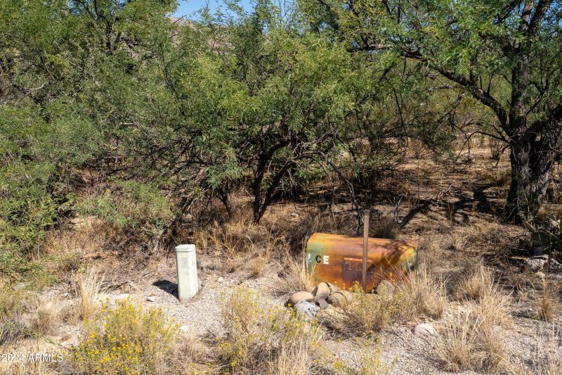 2 ground photos-6 (2)