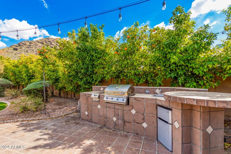 94 - Royal Palm 5339