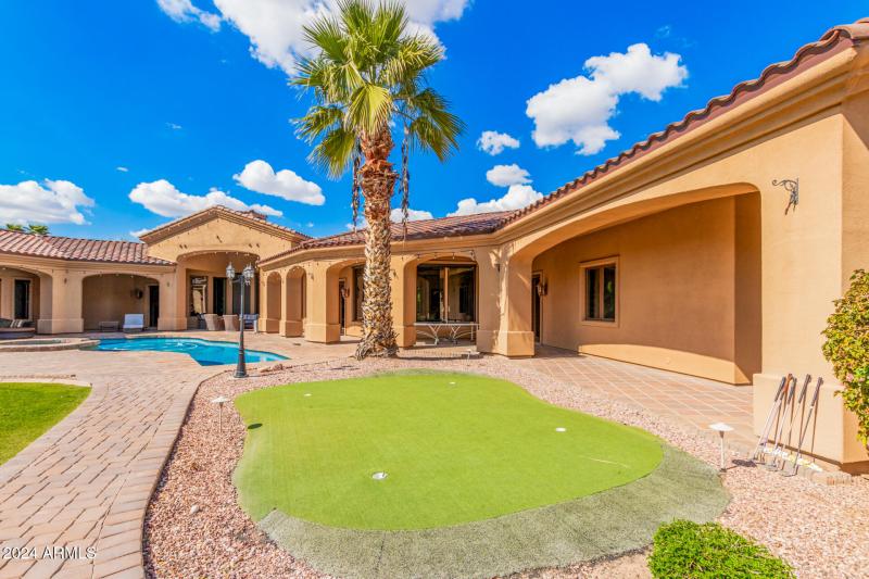 82 - Royal Palm 5339