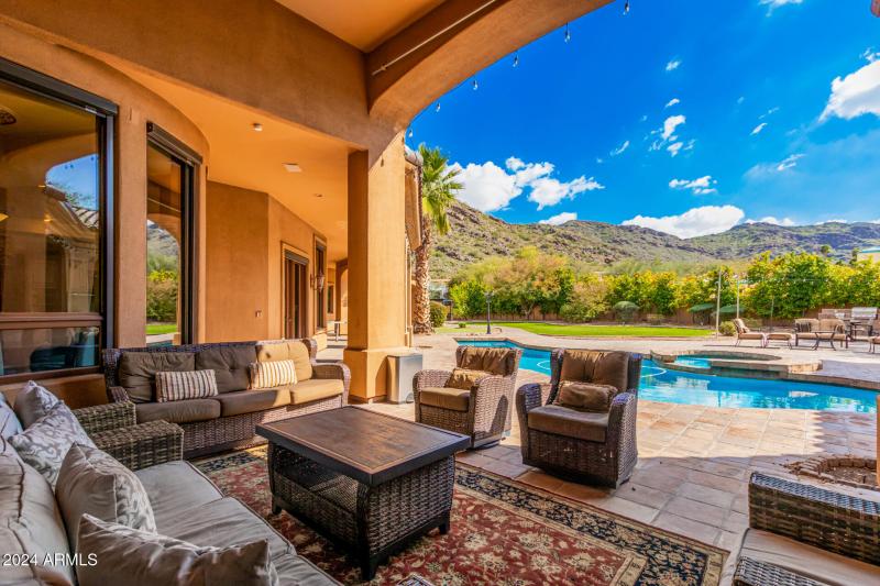 79 - Royal Palm 5339