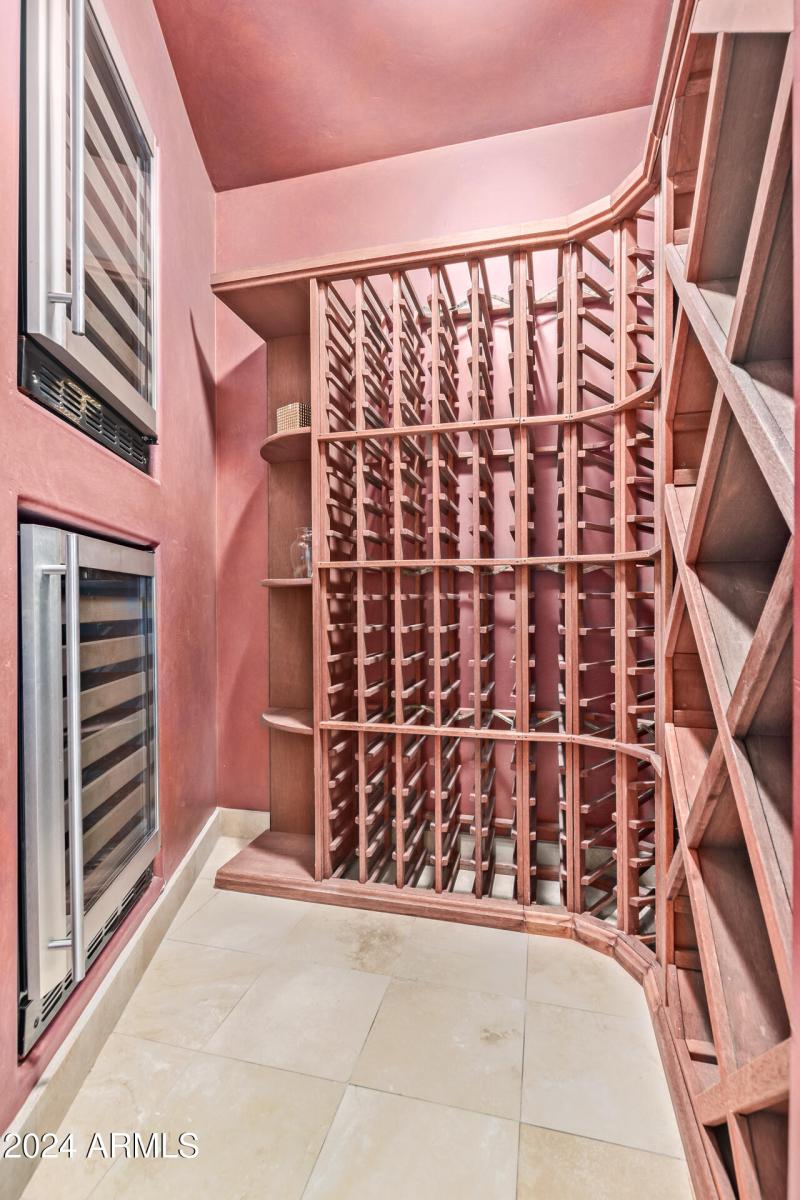 51 - Royal Palm 5339