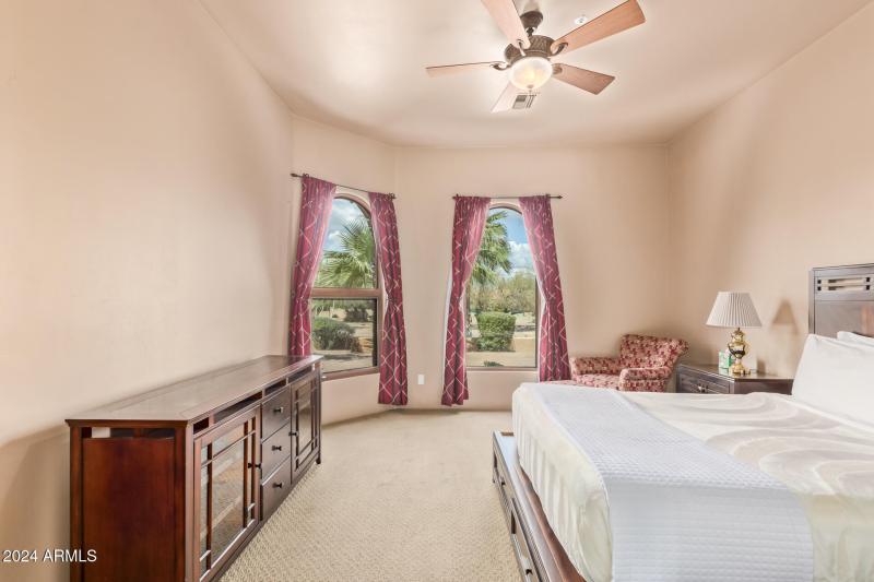 48 - Royal Palm 5339