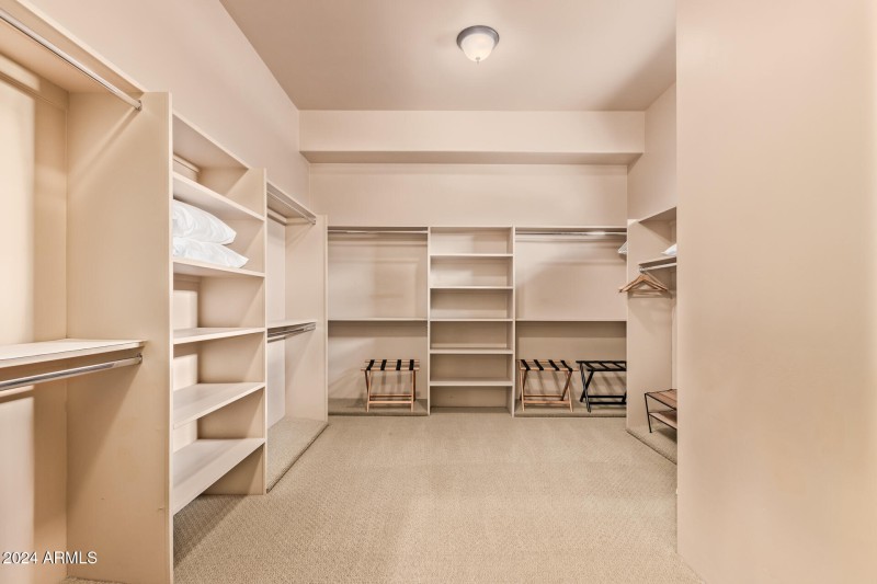 47 - Royal Palm 5339