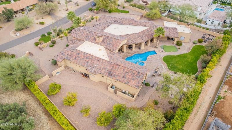 112 - Royal Palm 5339