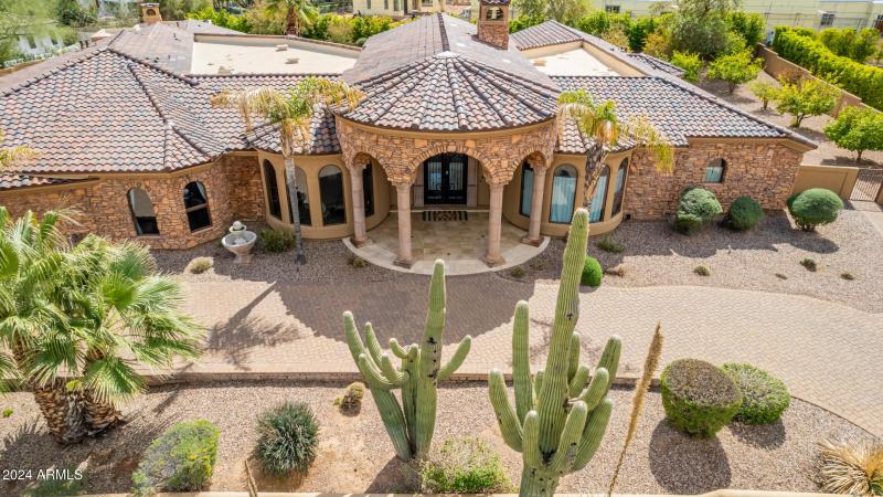 100 - Royal Palm 5339