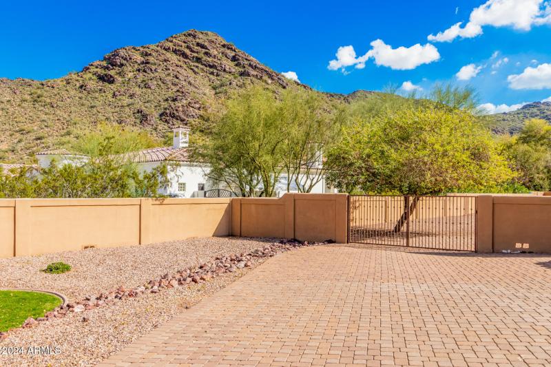 09 - Royal Palm 5339