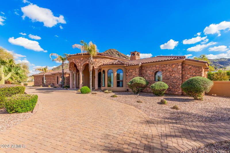 04 - Royal Palm 5339