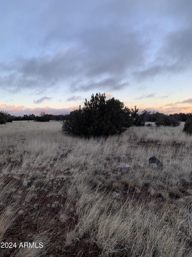 Lot 2 photo