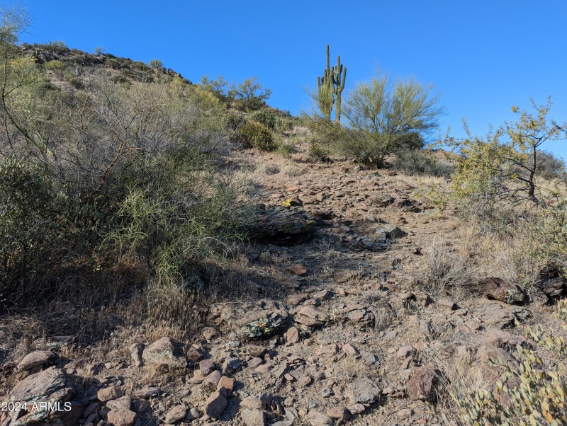 Circle Mountain 8