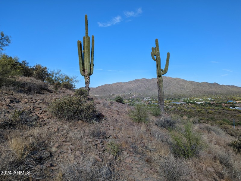 Circle Mountain 9