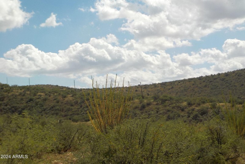 185 RUTA CAMARON